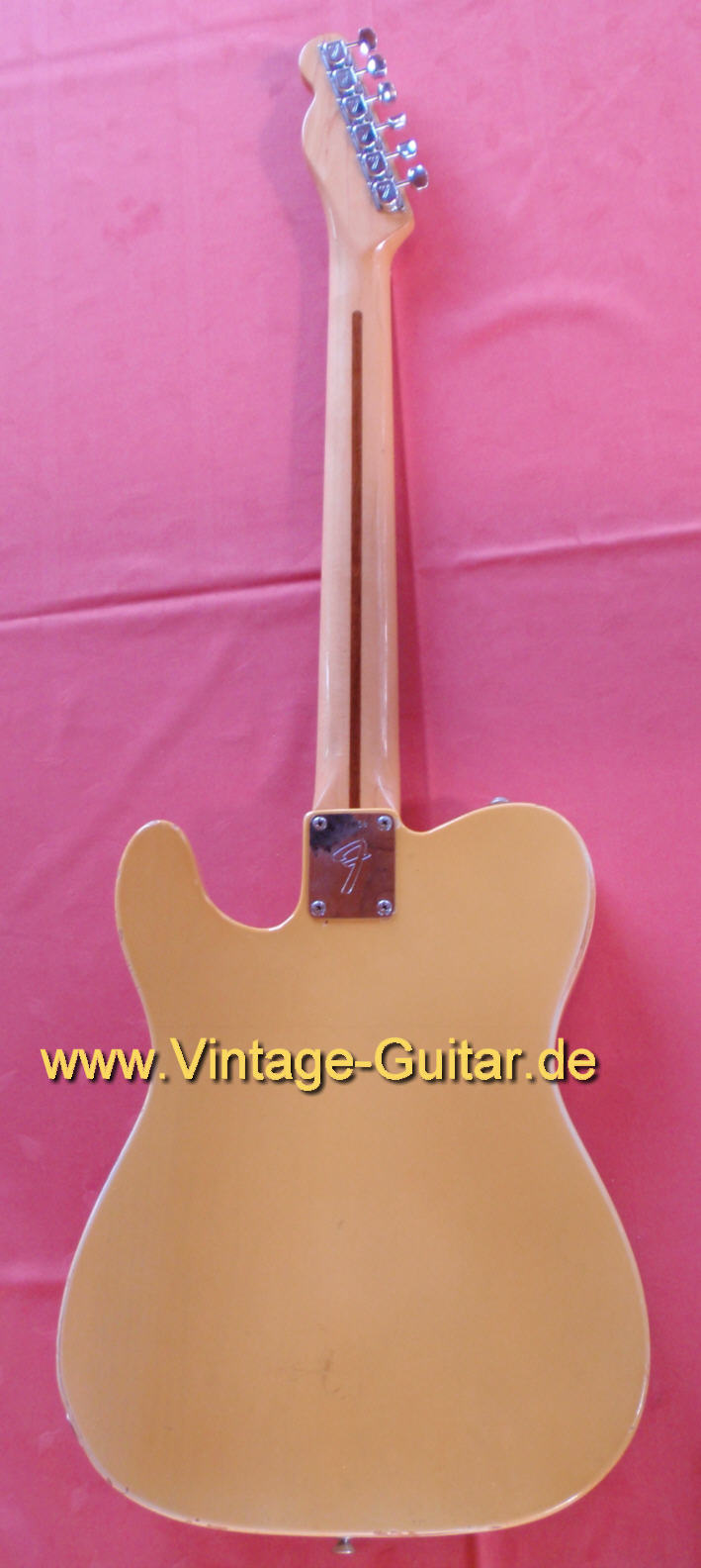 Fender Telecaster 1969 Bigsby b.jpg